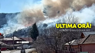Photo of ALERTĂ: Incendiu de vegetație, la Cislău!