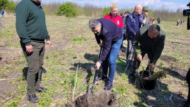 Photo of VIDEO: Marcel Ciolacu a plantat puieți la Frasinu, în cadrul campaniei „Pentru o Românie verde”