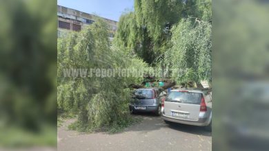 Photo of Copac prăbușit peste o mașină, într-o parcare din Buzău