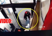 Photo of Cățel furat din fața unui magazin din Buzău