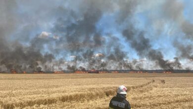 Photo of Incendiu violent la Stâlpu | Numeroase echipaje de pompieri, la fața locului